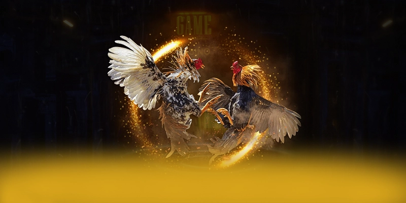 DAGA88 - Nhà cái được đánh giá cao về độ tin cậy được yêu thích hàng đầu – Khám phá cam kết an toàn của DAGA88