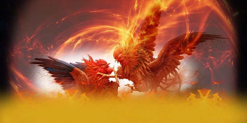 KUWIN - Trang game hào phóng được cộng đồng game thủ yêu thích – Khám phá chính sách thưởng tại KUWIN