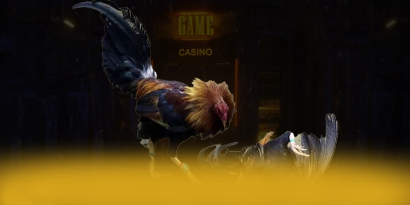 N88 - Nền tảng cá cược trực tuyến với chính sách bảo mật hàng đầu trên thị trường – Tìm hiểu về độ tin cậy và bảo mật tại N88