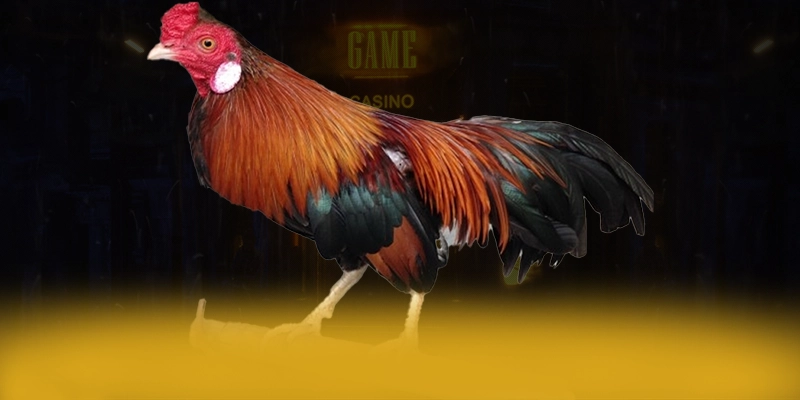 LC88 - Trang game có nhiều event hấp dẫn được cộng đồng game thủ yêu thích – Khám phá chính sách thưởng tại LC88