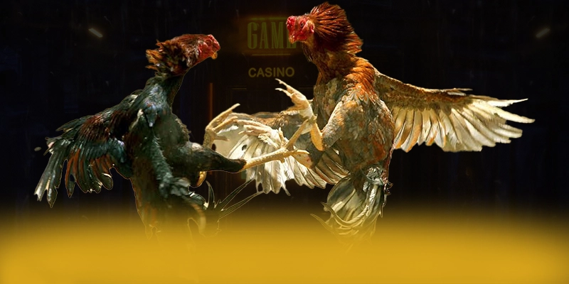 N88 - Nhà cái ưu đãi khủng trên thị trường – Khám phá sự kiện hấp dẫn tại N88