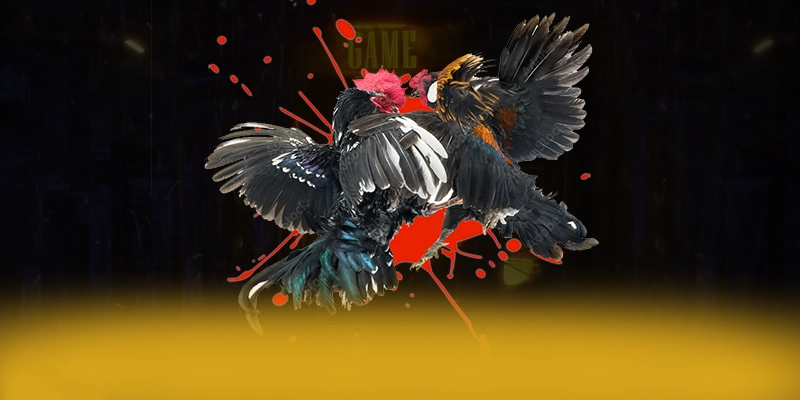 KUWIN - Cổng game có độ an toàn vượt trội được đánh giá cao – Trải nghiệm KUWIN