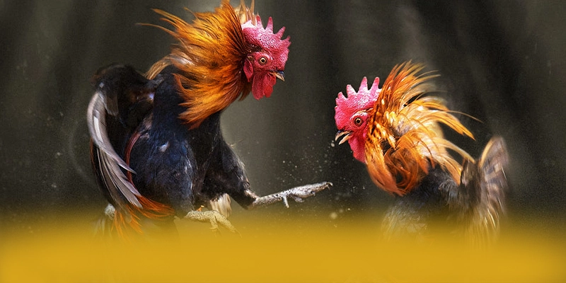 tỷ lệ kèo bóng đá – Trang game được yêu thích nhất, được cộng đồng game thủ tin tưởng.