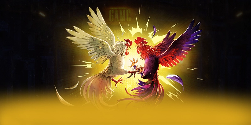 
Khám phá ngay GO8 - Trang game uy tín được giới cược thủ tin tưởng
