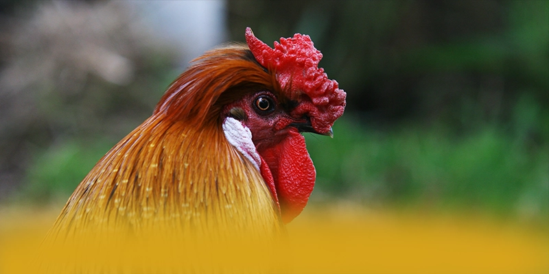 UU88 - Kết luận từ cộng đồng game thủ. UU88 - Kết luận từ cộng đồng game thủ.