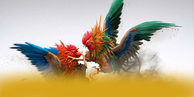 BL555 - Sảnh game có nhiều event hấp dẫn được giới cược thủ đánh giá cao – Săn ngay BL555 BL555 - Sảnh game có nhiều event hấp dẫn được giới cược thủ đánh giá cao – Săn ngay BL555