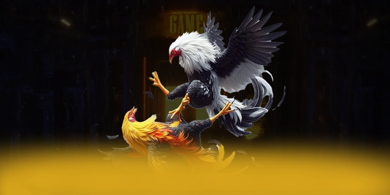 Cùng trải nghiệm AU88 - Cổng game được tin dùng được quan tâm
Cùng trải nghiệm AU88 - Cổng game được tin dùng được quan tâm