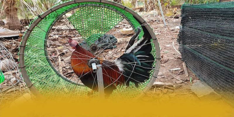 FC88 – Cổng game phổ biến nhất, khẳng định vị thế hàng đầu tại Việt Nam. FC88 – Cổng game phổ biến nhất, khẳng định vị thế hàng đầu tại Việt Nam.